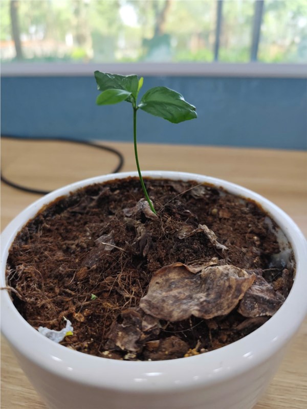 Thư viện ảnh 11