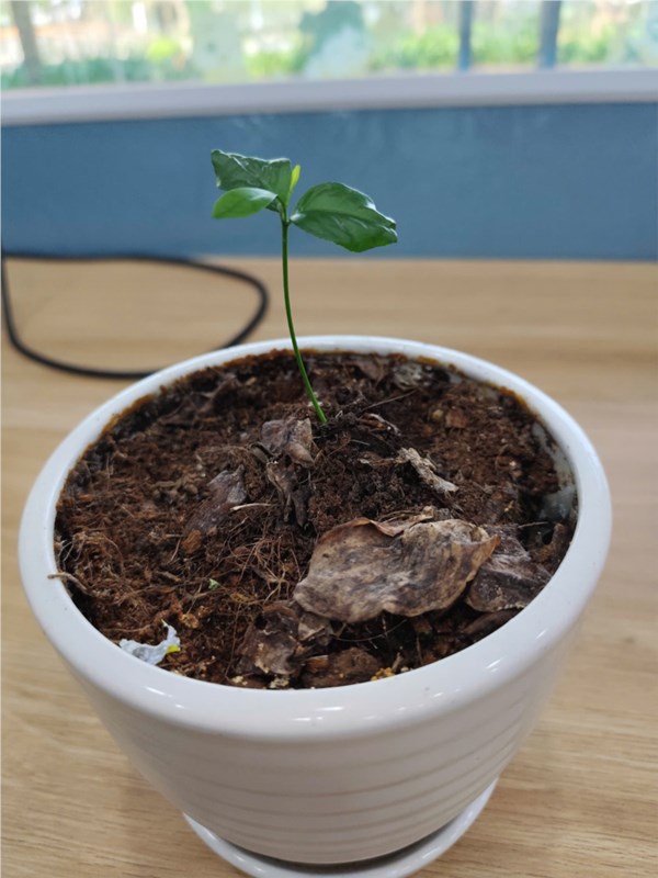 Thư viện ảnh 11